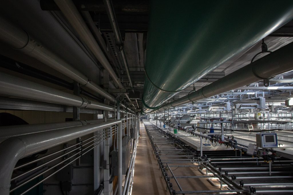 Take a Tour of our Niagara Greenhouse Aleafia Health